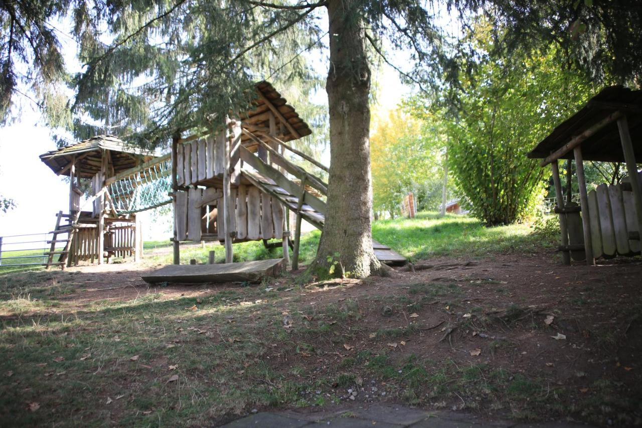 Erlebnisland Grizzlybaer * Langenbuhl